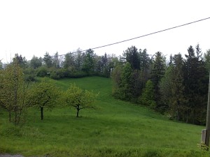 Zemedělské pozemky o celkové výměře 10 616 m2 v Oldřichovicích u Třince - 3004201412453.jpg