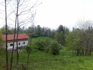 Zemedělské pozemky o celkové výměře 10 616 m2 v Oldřichovicích u Třince - 3004201412452.jpg