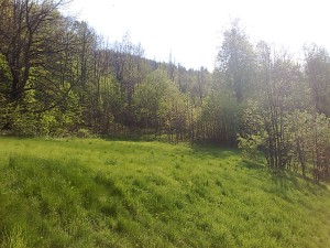 Zemedělské pozemky o celkové výměře 10 616 m2 v Oldřichovicích u Třince - 3004201412444.jpg