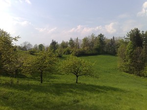 Zemedělské pozemky o celkové výměře 10 616 m2 v Oldřichovicích u Třince - 3004201412442.jpg