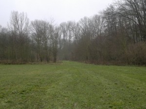 Lesní  a zemědělské pozemky v Krchlebech u Čáslavi - 2013-12-10-15599.jpg