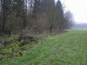 Lesní  a zemědělské pozemky v Krchlebech u Čáslavi - 2013-12-10-15597.jpg