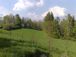 Zemedělské pozemky o celkové výměře 10 616 m2 v Oldřichovicích u Třince - 3004201412436.jpg