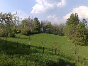 Zemedělské pozemky o celkové výměře 10 616 m2 v Oldřichovicích u Třince - 3004201412435.jpg