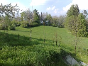 Zemedělské pozemky o celkové výměře 10 616 m2 v Oldřichovicích u Třince - 3004201412434.jpg
