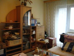Bytová jednotka 2+1 s příslušenstvím, balkonem a skladem - IMG_0619.JPG
