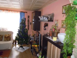 Aukce - Rodinný dům čp. 30, k. ú. Hylváty, obec Ústí nad Orlicí - RD Ústí nad Orlicí - Duškovi  - 0002.JPG