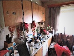 1/2 spol. podílu na rekonstruovaném RD s pozemky (1 190 m2) v obci Rychnovek - Obr_9.jpg