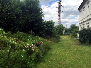 1/2 spoluvlastnického podílu na vile - penzion s pozemky v Poučníku, okres Karlštejn - 24_.jpg