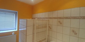 Aukce RD s třemi bytovými jednotkami 2+1 v obci Dubí u Teplic, okres Teplice - 20190328_170357.jpg