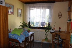 Aukce RD v Žamberku, Tylova 954, Okres Ústí nad Orlicí - IMG_7724.JPG