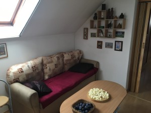 Aukce RD v obci Staré Město u Uherského Hradiště, Kosmova 898, pozemek není součástí aukce - IMG_3928.jpg
