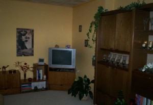 Aukce bytu 2+1 s garáží v obci Plasy, ul. Lipová 411 - foto3.jpg