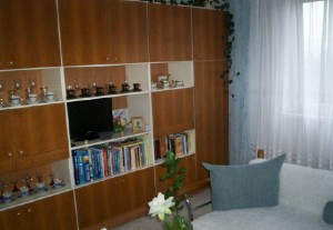 Aukce bytu 2+1 s garáží v obci Plasy, ul. Lipová 411 - foto4.jpg