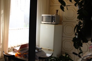 Aukce bytu o velikosti 2+kk, kú a obec Tmaň, okres Beroun - IMG_8696.JPG