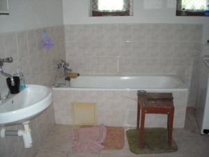Aukce rekreační chalupy v obci Javorník, kú Zálesí u Javorníka če. 21, okres Jeseník - DSCN7877.JPG