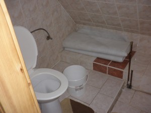 Aukce rodinného domu s pozemky v obci Heřmánkovice, čp. 240, okres Náchod - P1090731.JPG
