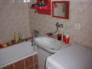 Aukce rodinného domu s pozemky v obci Heřmánkovice, čp. 240, okres Náchod - P1090722.JPG