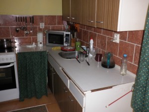 Aukce rodinného domu s pozemky v obci Heřmánkovice, čp. 240, okres Náchod - P1090723.JPG