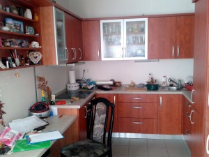 Bytová jednotka, 53.8 m2 s lodžií a sklepní kojí, parkovacím místem v Hrušovanech u Brna - Drábek kuchyně.jpg