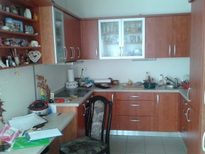Bytová jednotka, 53.8 m2 s lodžií a sklepní kojí, parkovacím místem v Hrušovanech u Brna - Drábek kuchyně.jpg