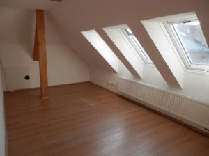 Bytový dům s nebytovými prostory a pozemky v centru Jindřichova Hradce - 13.JPG