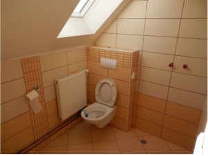 Bytový dům s nebytovými prostory a pozemky v centru Jindřichova Hradce - 14.JPG