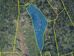Dva lesní pozemky (12 120 m2) na okraji obce Velké Hamry - Obr_5.JPG