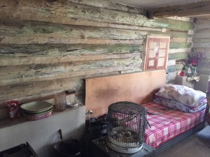 Dvoupodlažní rodinný dům (89 m2) se zahradou (547 m2) ve Valkeřicích u Děčína - IMG_4394.JPG