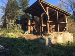 Dvoupodlažní rodinný dům (89 m2) se zahradou (547 m2) ve Valkeřicích u Děčína - IMG_4398.JPG