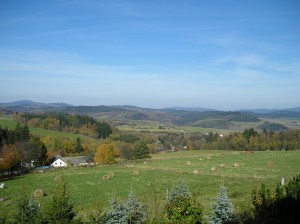 Komerční nemovitost se stavebním pozemkem u Lipna - 05.JPG