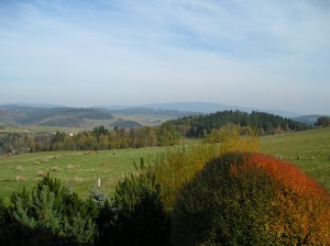 Komerční nemovitost se stavebním pozemkem u Lipna - 07.JPG