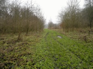 Lesní  a zemědělské pozemky v Krchlebech u Čáslavi - 2013-12-10-15592.jpg
