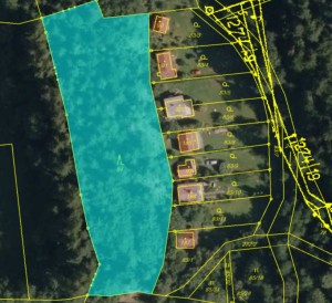 Lesní pozemek o výměře 4133 m2 a část silnice (7 m2), cca 20 Km severozápadně od Prostějova - Mapka1.JPG