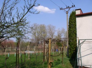 Malá zděná chatka s pozemky 788 m2  vei Znojmě - Oblekovicích - 2017-04-02 19.45.41.jpg