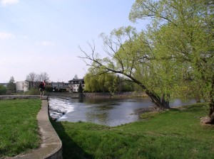 Malá zděná chatka s pozemky 788 m2  vei Znojmě - Oblekovicích - 2017-04-02 19.48.27.jpg