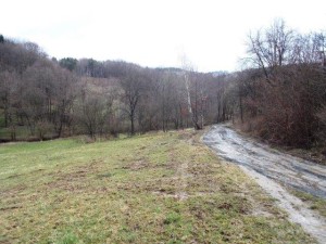 Podíl ve výši 1/4 na lesním pozemku o výměře 9 331 m2 v obci Lutonina u Zlína - 029.jpg
