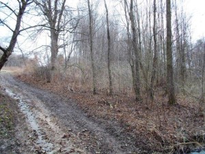 Podíl ve výši 1/4 na lesním pozemku o výměře 9 331 m2 v obci Lutonina u Zlína - 032.jpg