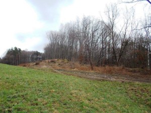 Podíl ve výši 1/4 na lesním pozemku o výměře 9 331 m2 v obci Lutonina u Zlína - 033.jpg