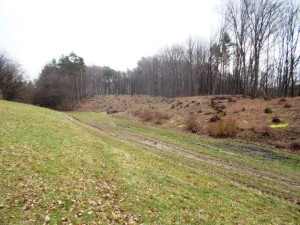 Podíl ve výši 1/4 na lesním pozemku o výměře 9 331 m2 v obci Lutonina u Zlína - 034.jpg