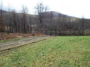 Podíl ve výši 1/4 na lesním pozemku o výměře 9 331 m2 v obci Lutonina u Zlína - 035.jpg