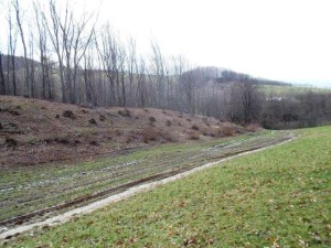 Podíl ve výši 1/4 na lesním pozemku o výměře 9 331 m2 v obci Lutonina u Zlína - 038.jpg