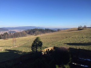 Pozemek 4 799 m2  s hospodářskými budovami v Hořicích na Šumavě u Lipna - Obr1.JPG