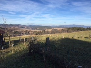 Pozemek 4 799 m2  s hospodářskými budovami v Hořicích na Šumavě u Lipna - Obr2.JPG