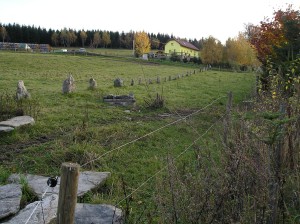 Pozemek 4 799 m2  s hospodářskými budovami v Hořicích na Šumavě u Lipna - Obr4.JPG