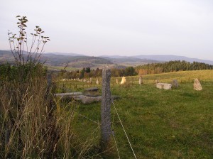 Pozemek 4 799 m2  s hospodářskými budovami v Hořicích na Šumavě u Lipna - Obr5.JPG