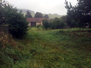 Pozemky 3 625 m2 v Rudné u Svitav - Obr_2.jpg