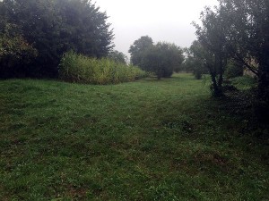 Pozemky 3 625 m2 v Rudné u Svitav - Obr_4.jpg
