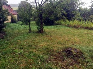 Pozemky 3 625 m2 v Rudné u Svitav - Obr_5.jpg