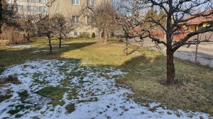 RD Tábor, ul. Skálova, Blanické předměstí - 30.jpg